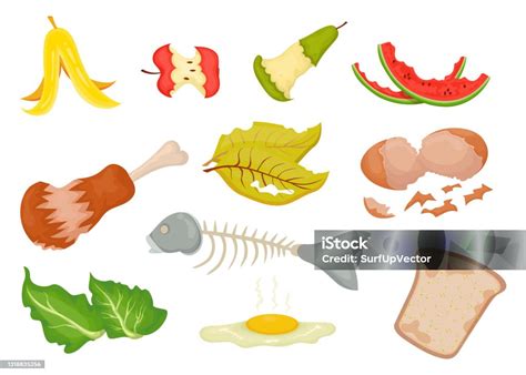 Collection Of Organic Waste Cartoon Vector Illustration Stock