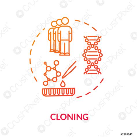 Cloning Red Concept Icon Human Reproduction Method Biotechnology And Genetic Stock Vector