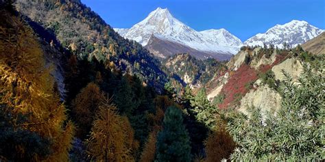 Explore Nepal's Protected Areas: Conservation Zones, Wildlife Reserves ...