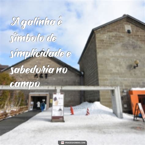 Frases Engraçadas e Inspiradoras sobre Galinhas: Divirta-se com Nossas