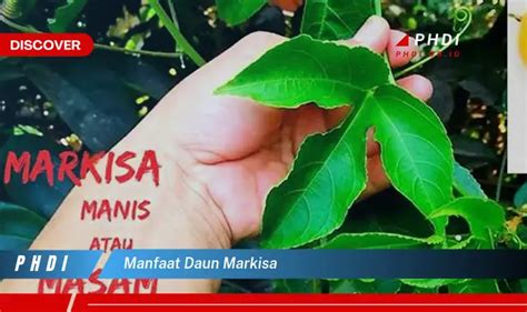 Temukan Manfaat Daun Markisa Yang Jarang Diketahui