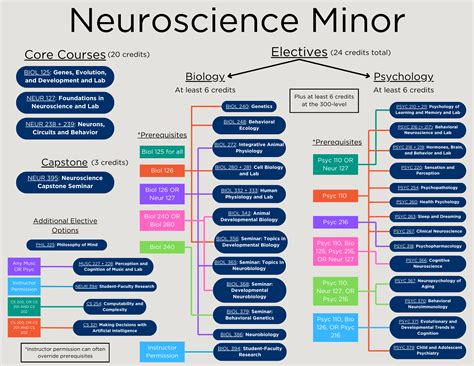 Minor Requirements – Neuroscience – Carleton College