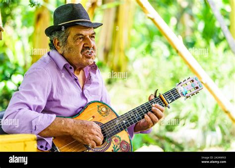 Hombre Tocando Una Guitarra Acustica Fotograf As E Im Genes De Alta