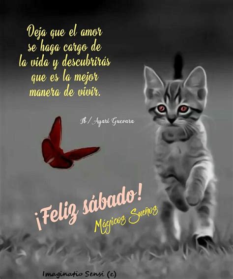 Pin De Blanca Mireles En Mensajes Feliz Sabado Frases Feliz S Bado