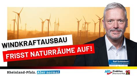 Ralf Sch Nborn Afd Windkraftausbau Frisst Naturr Ume Auf Youtube