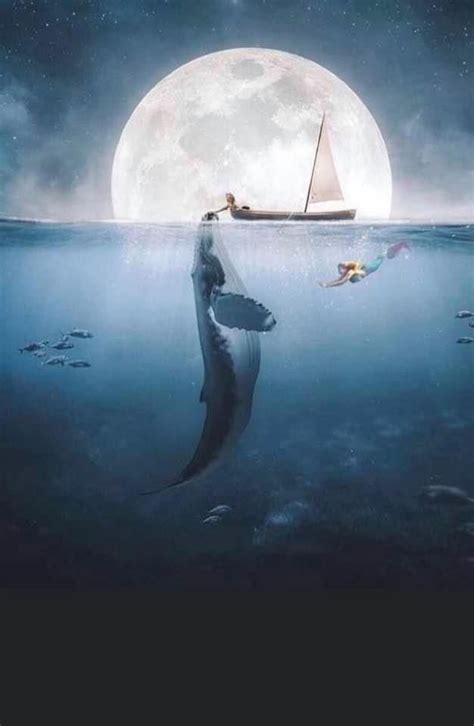 Pin on Gonna be a mermaid when I grow up | Dreamy art, Nature art ...