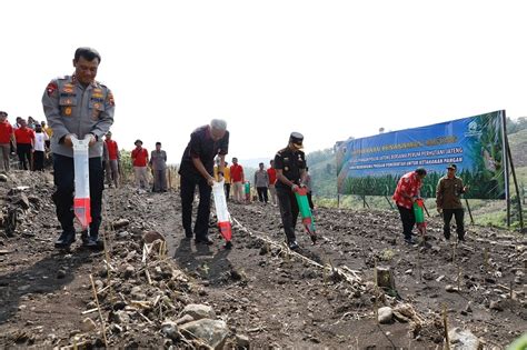 Optimalisasi Lahan Tidur Jadi Produktif Ini Dampak Bagi Petani E