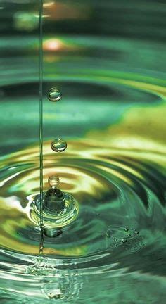 water droplets ideas water droplets macro photography droplets