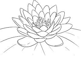 Flor de Loto para colorear, imprimir e dibujar –ColoringOnly.Com