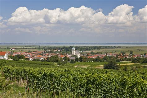 Oggau Am Neusiedler See Tourist Information Outdooractive