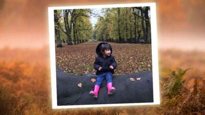 Send in your Autumnwatch pictures - CBeebies - BBC