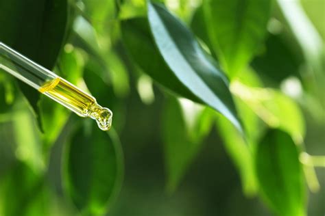 Oli Essenziali Per Cosa E Come Utilizzarli Cure Naturali It