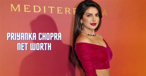 Quantico To Quantifiable Wealth: Priyanka Chopra Net Worth Breakdown