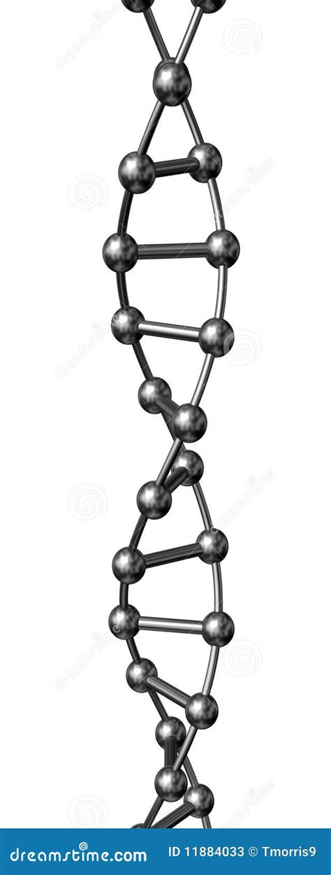 Silver DNA Stock Illustration Illustration Of Biology 11884033