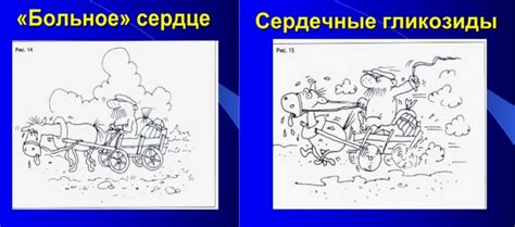 Сердечные гликозиды