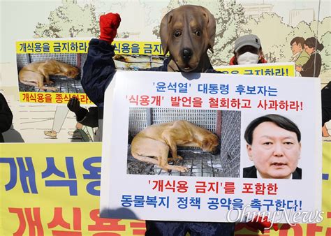 동물보호단체 윤석열 후보 식용개 발언 사과하라 오마이뉴스