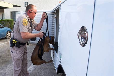 Animal Control Officer Darryl Duncan Clark County Animal Control