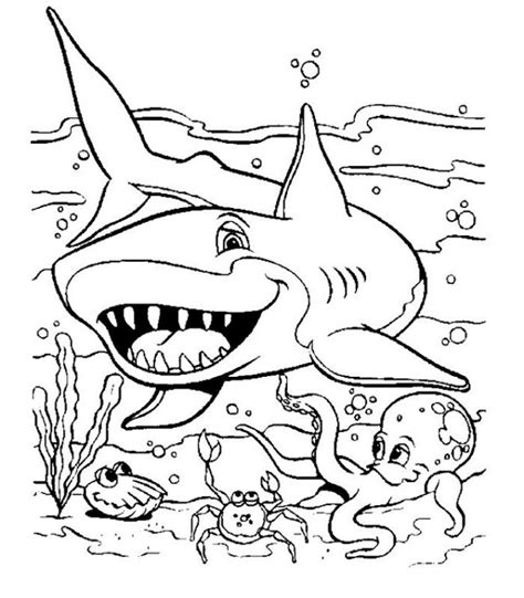 Coloriage Requin Coloriage Requins Coloriages Animaux Porn Sex Picture