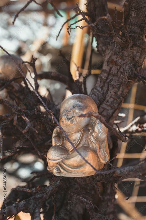 Buddha in the tree Stock Photo | Adobe Stock