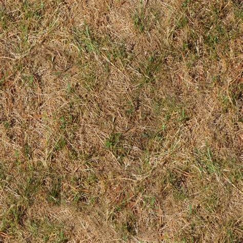 Dry Grass Texture Seamless