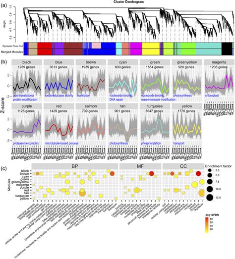 Weighted Gene Co Expression Network Analysis Wgcna Of Degs In