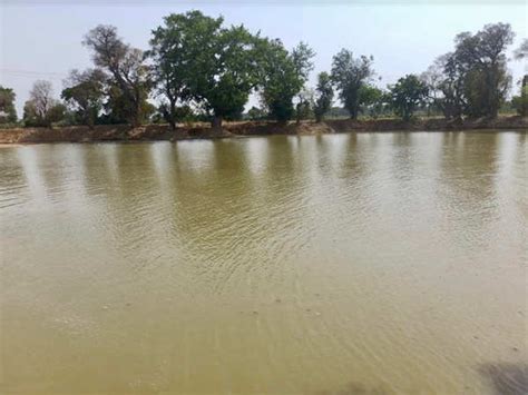 Uttar Pradesh Mathura Administration Revives 784 Water Bodies At A