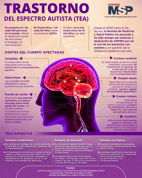Transtorno Do Espectro - Transtorno del espectro autista - Infografía
