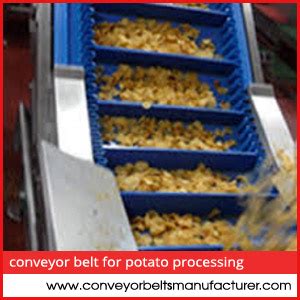 Conveyor Belt For Potato Processing Omtech Food Engineering Rajkot