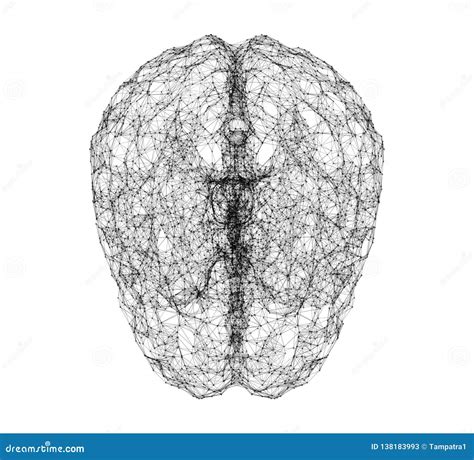 Dati Di Digital E Connessione Di Rete Di Cervello Umano Isolati Su