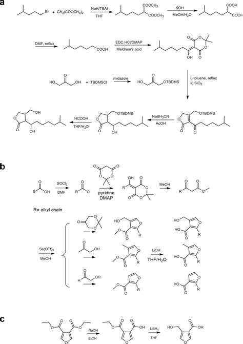 Synthetic Routes To Mmfs And Analogues And Scb1 A Synthetic Route To Download Scientific