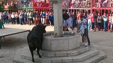 Solidaridad De Los Bous Al Carrer En La Lucha Contra El Covid 19