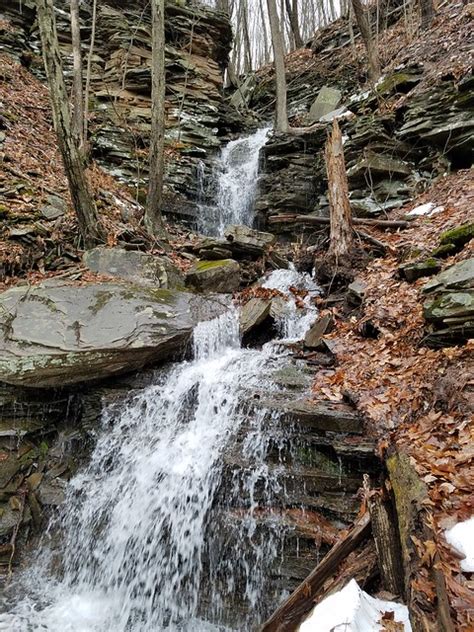 Jackson Trail Waterfalls-Loyalsock State Forest | Endless Mountains ...