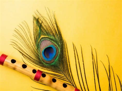 Lord Krishna Peacock Feather With Flute - 1244x1193 - Download HD ...