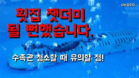 횟집 불날뻔 했습니다수족관 청소 요령과 주의할점나는갑수다 Youtube