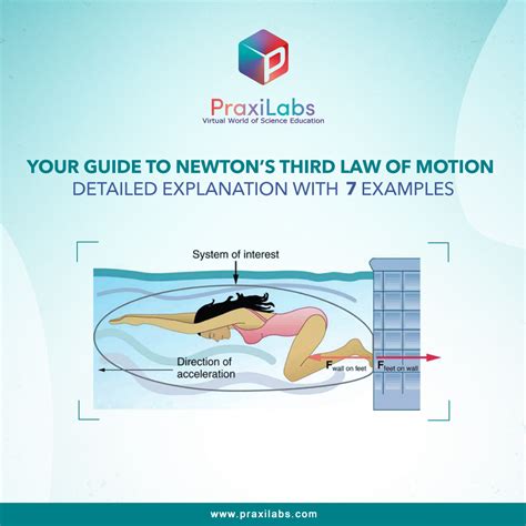 Newton's Third Law Of Motion Simple Examples Sale Online | dakora.com.co