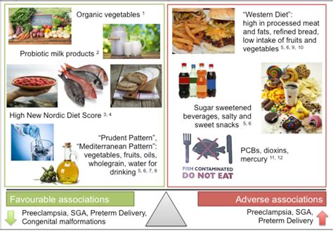 Figure 1 from The importance of maternal nutrition for health ...