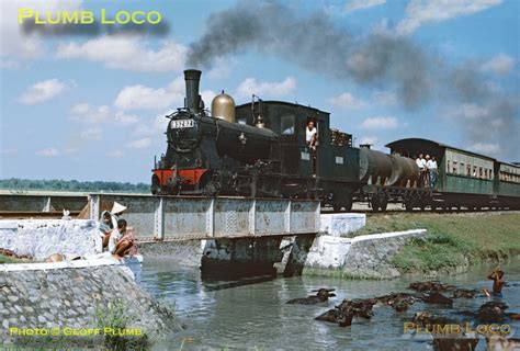 Central Java Water Buffalo Hartmann Steam Trains Locomotive