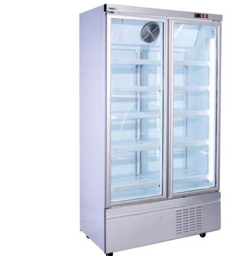 Plug In Upright Glass Door Display Freezer With Compressor Bottom Mounted Supermarket Display