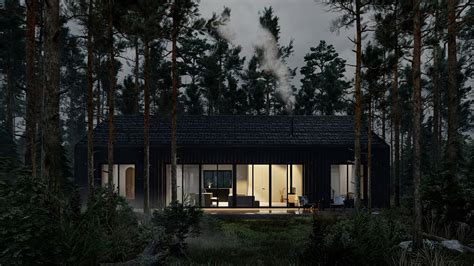 Black barn house in St.Petersburg :: Behance