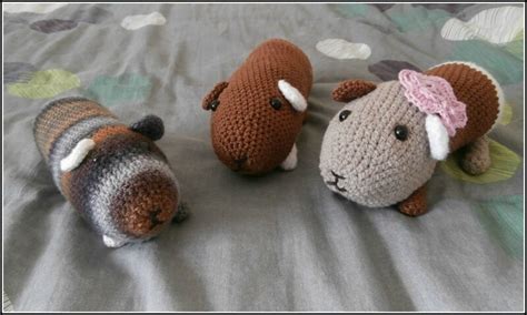 Vous Vous Rappelez De Mes Cochons D Inde Fabriqu S Au Crochet L