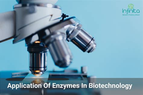 Top 5 Application Of Enzymes In Biotechnology Infinita Biotech