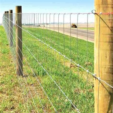 Hot Dipped Galvanized 1 8m Height Field Hinge Joint Farm Fence China