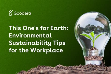 Ideas To Promote Sustainability At The Workplace