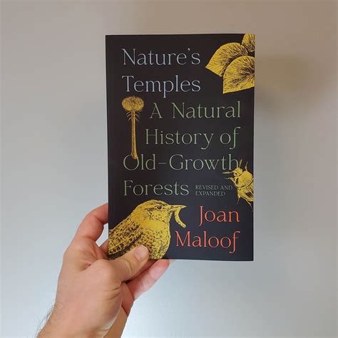 Nature's Temples: A Natural History of Old-Growth Forests