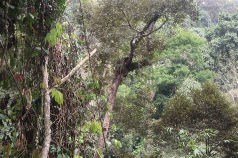 Caught in smuggling – RM5 mln worth of items including rice, diesel and