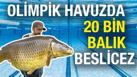 OLİMPİK HAVUZDA 20 000 BALIK BESLİCEZ Tarlada Balık Yetiştirme Havuzu