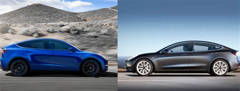 Comparativa Tesla Modelo Vs Modelo Y Cu L Es La Mejor Opci N