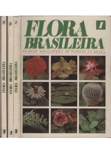 Sebo Do Messias Livro Flora Brasileira 3 Volumes