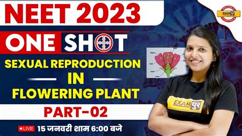 Neet 2023 Sexual Reproduction In Flowering Plants Class 12 One Shoot Neet Biology By Radhika