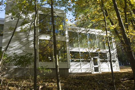 Eco-friendly renovations will save the chapel in the woods site 33